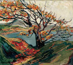 Emily Carr Package