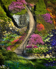 Gardens Package - Victoria B & B