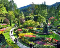 Garden Tours - Victoria B & B